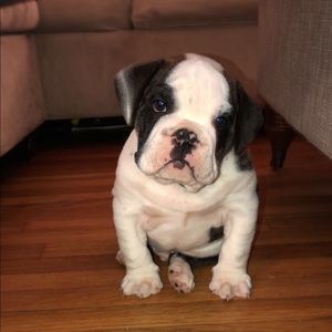 Meet your Posher, Madison